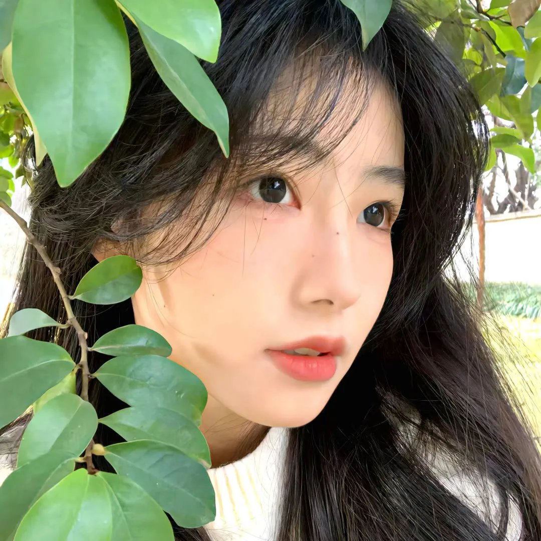 香草美人