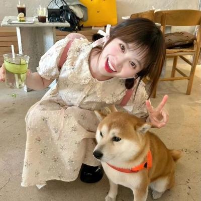妙警贼探第四季